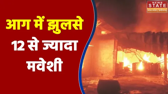 छिंदवाड़ा में आग में झुलसे 12 से ज्यादा मवेशी