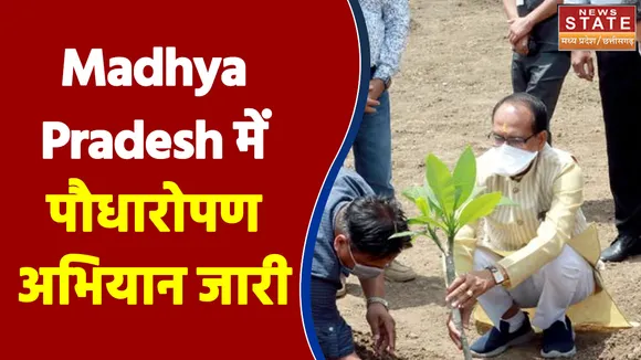 Madhya Pradesh में पौधारोपण अभियान जारी