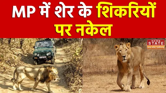 MP में बाघों का शिकार करने वालों पर STSF ने कसी नकेल, देखें वीडियो
