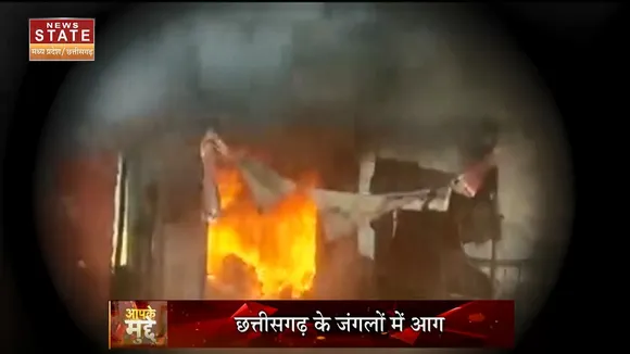 Chhattisgarh News Today :  खाक ! हो जायेगा छत्तीसगढ़ का जंगल !