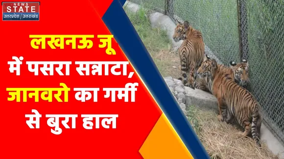 Uttar Pradesh News : लखनऊ जू में पसरा सन्नाटा, जानवरो का गर्मी से बुरा हाल, सैलानियों की संख्या में कमी