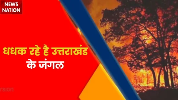 Breaking News : उत्तराखंड के जंगलो में भीषण आग, अब तक सैकड़ो हैक्टेयर जंगल जलकर राख