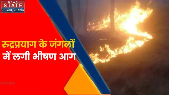 Uttarakhand News : रुद्रप्रयाग के जंगलों में लगी भीषण आग, कई हेक्टेयर जंगल जलकर हुए खाक