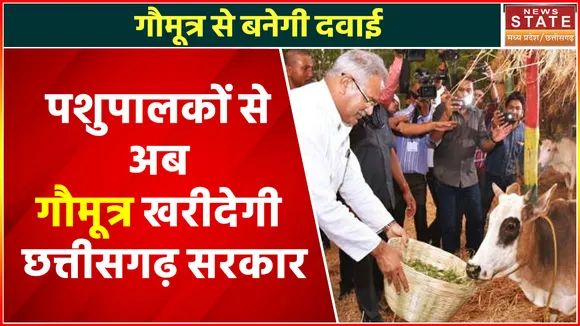 Balrampur News: गोबर के बाद अब गोमूत्र भी खरीदेगी सरकार, जानें क्या है प्लान?