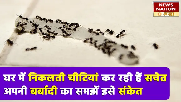 घर में निकलती चीटियां देती हैं विवाद और बर्बादी का संकेत, इस रूप में देखा जाना होता है शुभ
