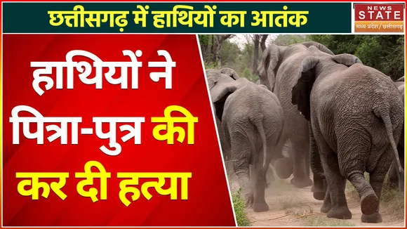 Breaking News :  मनेन्द्रगढ़ वन मंडल में हाथियों का आतंक, घर में सो रहे पिता और बेटी को कुचला