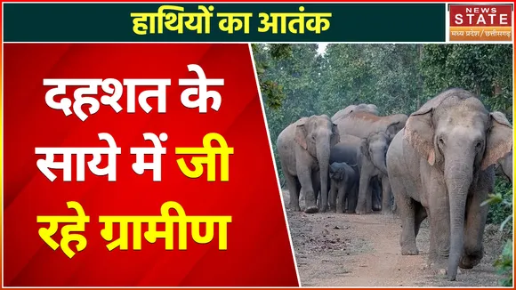 Chhattisgarh News : दहशत के साये में जी रहे ग्रामीण, कई ज़िन्दगी चढ़ चुकी है भेंट