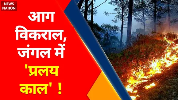 Athens Wildfire: एथेंस के पास जंगल में लगी आग विकराल !