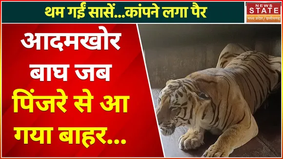 Bhopal News: वन विहार में बाघ बाड़े से आया बाहर, दशत में वनकर्मी
