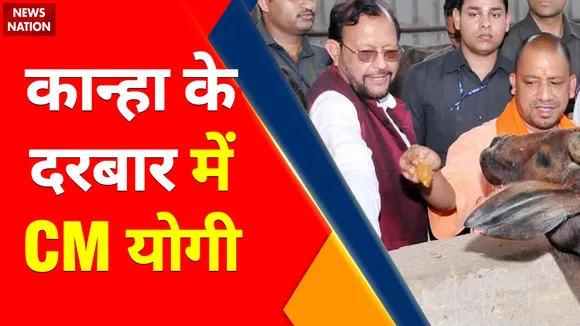 CM Yogi Mathura Live : कान्हा के दरबार में CM Yogi, मथुरा से Cm Yogi Live