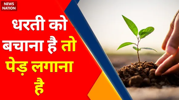 Environment : धरती को बचाना है तो पेड़ लगाना है