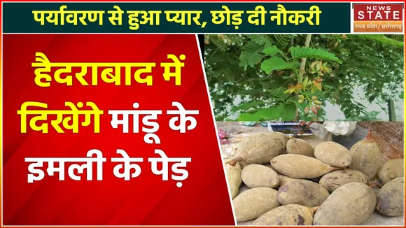 Hyderabad News: मांडू से खुरासानी ट्रॉलो में लादकर लेकर जाएगा इमली के 11 पेड़, पर्यावरण से है प्रेम
