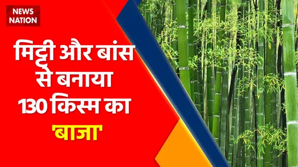 Chhattisgarh News: लोक संगीत का 'राजा', 130 किस्म का 'बाजा'