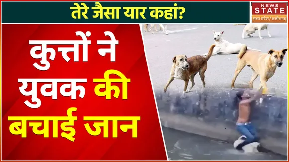 Madhya Pradesh News : कुत्तों ने बचाई युवक की जान, युवक गंभीर रूप से घायल