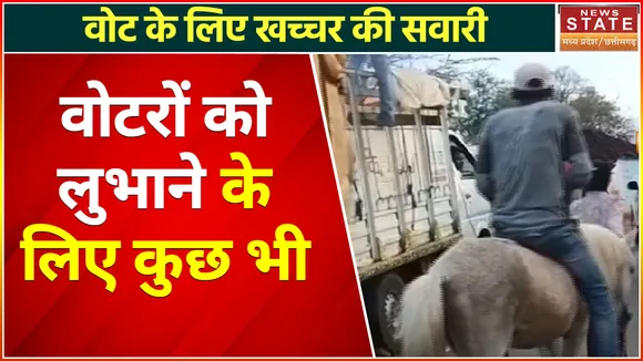 Damoh News : वोटरों को लुभाने के लिए खच्चर की सवारी पर निकला प्रत्याशी, लोगों से मांगे वोट
