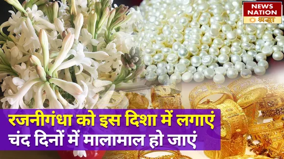 रजनीगंधा का पौधा दिखाएगा अपना ऐसा कमाल, हो जाएंगे एक महीने के अंदर मालामाल