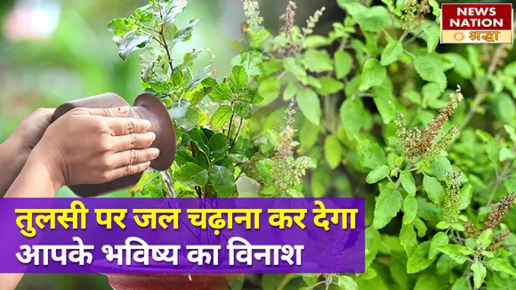 ये 4 दिन भूलकर भी न चढ़ाएं तुलसी को जल, नहीं तो अनिष्ट से भरा होगा आपका कल