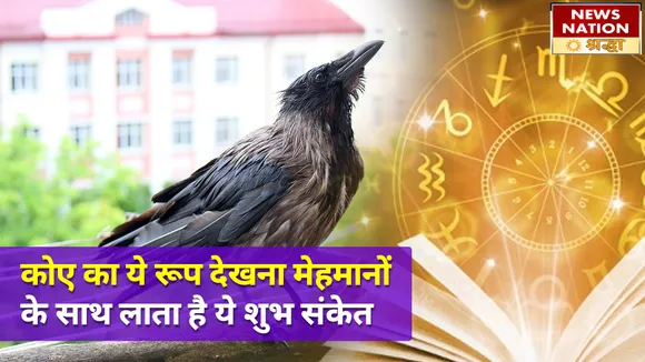 घर पर कौवे का आना सिर्फ मेहमान के आने का ही संकेत नहीं, बल्कि होता है इन सभी शुभ घटनाओं का इशारा