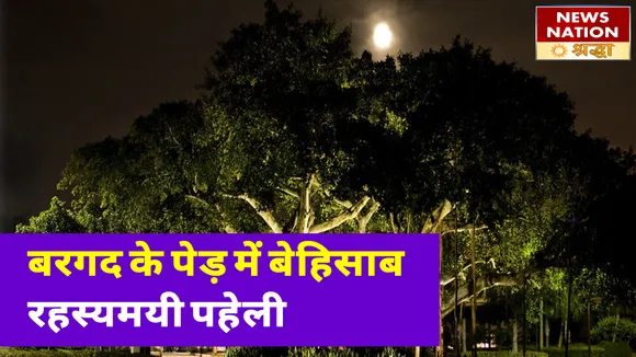 हिन्दू धर्म में अत्यंत चमत्कारी है 'वट वृक्ष', समेटे हुए है कई रहस्यामी बातें
