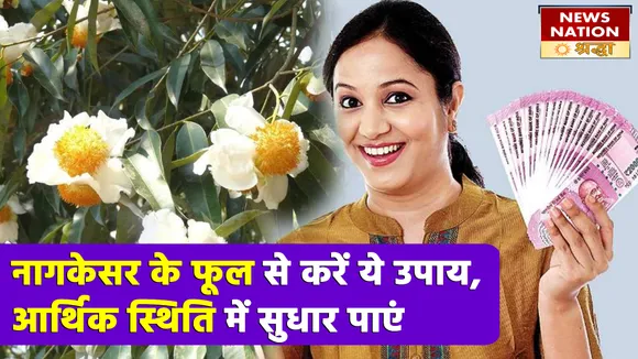 नागकेसर के फूल से करें ये उपाय, बिजनेस में तरक्की और आर्थिक स्थिति में सुधार पाएं