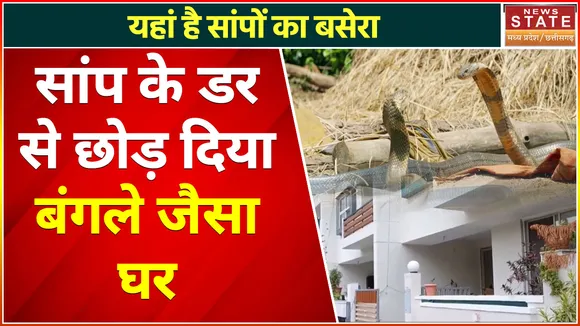 Indore News Today: घर में एक के बाद एक निकल रहे जहरीले सांप, डर से छोड़ दिया बंगले जैसा घर