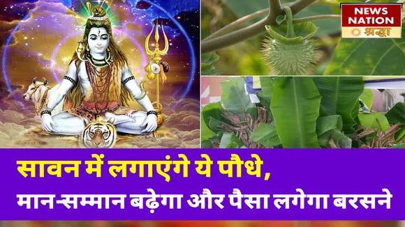सावन के महीने में लगाएंगे ये पौधे, परिवार में नहीं होगा कलह और बढ़ेगी धन-संपत्ति
