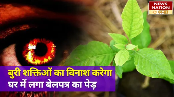 शिव जी पर चढ़ने वाला बेलपत्र अब घर में आकर बढ़ाएगा शुभता, बुरी शक्तियों का होगा सर्वनाश