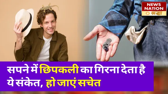 छिपकली का गिरना देता है शुभ और अशुभ संकेत, नौकरी में होता है प्रमोशन और धन की होती है हानि