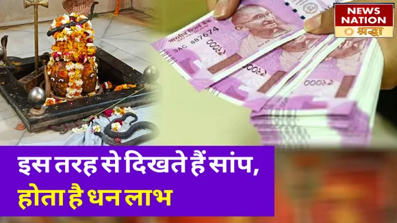 रास्ते में इस तरह से दिखते हैं सांप, माना जाता है शुभ और होता है धन लाभ