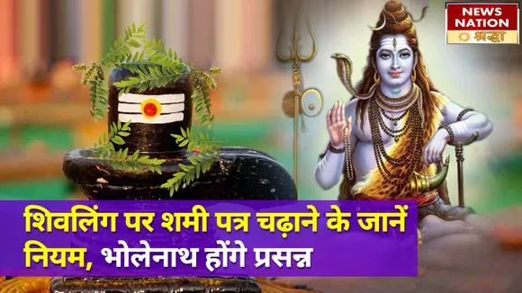 सावन में शिवलिंग पर शमी पत्र चढ़ाने के जानें नियम, भोलेनाथ हो जाएंगे प्रसन्न