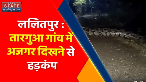 Breaking News : ललितपुर : तारगुआ गांव में अजगर दिखने से हड़कंप