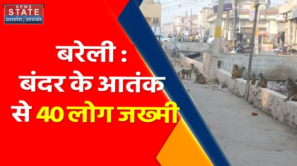 Breaking News : बरेली : बंदर के आतंक से 40 लोग जख्मी, अस्पताल में भर्ती