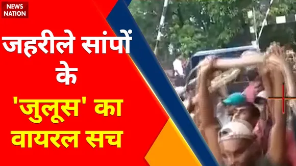 Bihar News : Cobra सांप को उठाकर कहां दौड़े लोग ?