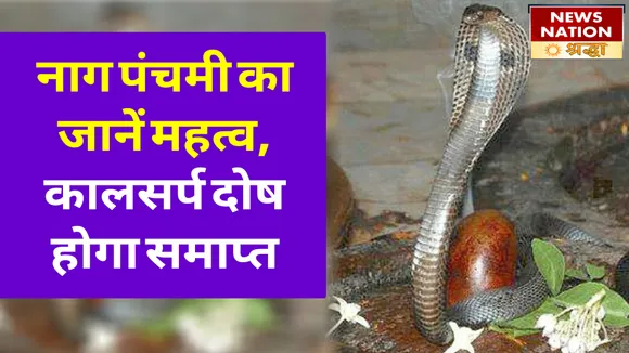सावन माह में नाग पंचमी का जानें शुभ मुहूर्त और महत्व, कालसर्प दोष होगा समाप्त