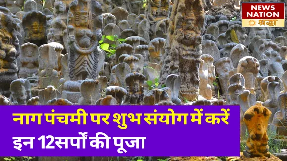 नाग पंचमी पर बन रहा है शुभ संयोग, करें इन 12 नागों की पूजा