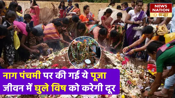 2 अगस्त को नाग देवता का मिलेगा भरपूर आशीर्वाद, नाग पंचमी पर इस पूजा विधि से भाग्य लेगा करबट