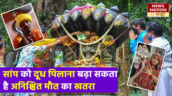 नाग पंचमी के दिन सांप को दूध पिलाना ला सकता है आपके जीवन पर खतरा, भुगतना पड़ सकता है घातक अंजाम