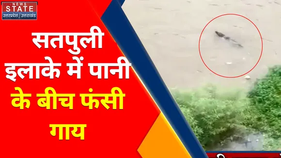 Uttarakhand News : सतपुली इलाके में पानी के बीच फंसी गाय, देखें वीडियो