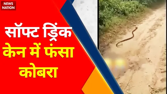 Viral CountDown Top 10 : सॉफ्ट ड्रिंक केन में फंसा कोबरा
