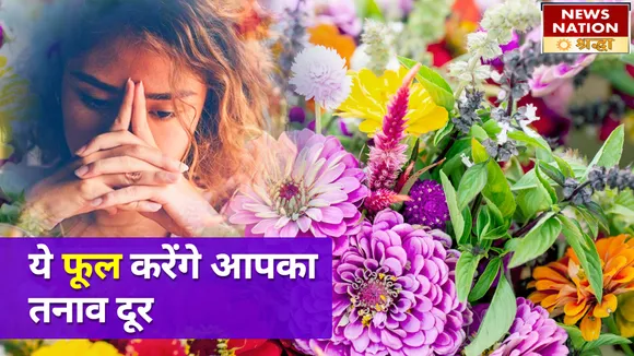 इन पांच फूलों के असर से दूर होगा वास्तु दोष, तनाव से चुटकियों में मिलेगा छुटकारा
