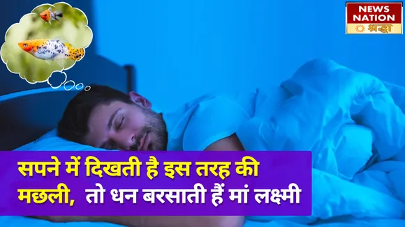 सपने में इस तरह की मछली दिखाई देने का ये है कारण, पूरी होती है मनोकामना और बरसता है धन