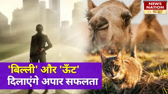 घर में इन चीजों को रखने से मिलेगी दिन दोगुनी रात चौगुनी सफलता