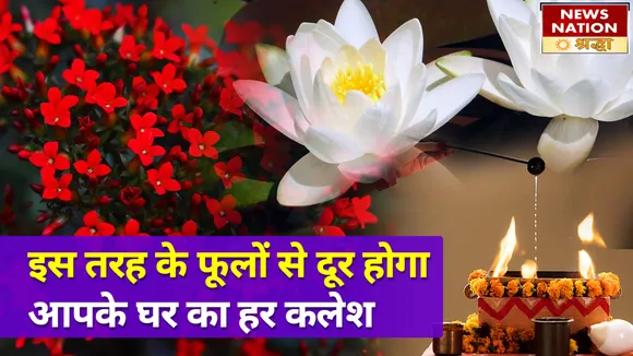 एक बार बस अपने पास रख लें ये फूल, ग्रह शांति की समस्या हो जाएगी छूमंतर NN Shraddha|News Nation Shraddha|Grah Shanti|Grah Shanti Upay|Grah Shanti Ke Totke|Flower For Grah Shanti