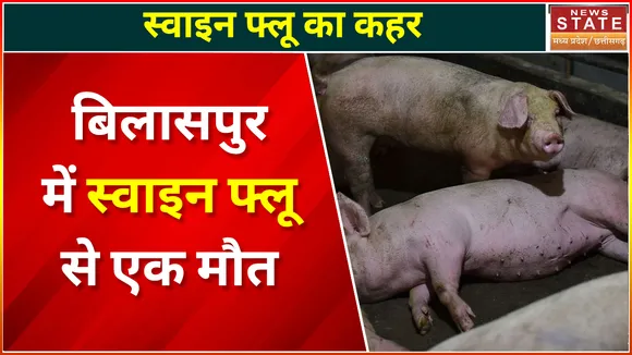 Chhattisgarh News : Bilaspur में स्वाइन फ्लू से एक मरीज की मौत | Bilaspur News |