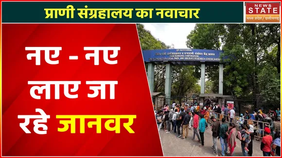 Madhya Pradesh News : प्राणी संग्रहालय का नवाचार, नए - नए लाए जा रहे जानवर