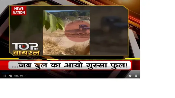 Viral Video : बुल से से खिलवाड़ पड़ सकता है महंगा, देखें वीडियो