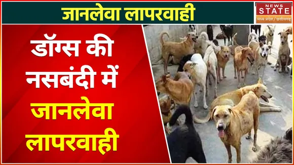 Bilaspur News : पहले बेजुबानों को बाडे में बंद किया और अब भूल गए, अत्याचार के लिए कौन जिम्मेदार?