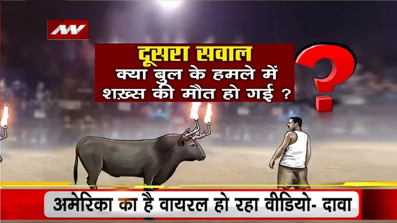 Lie Detector Test: 'आ बुल मुझे मार' की पूरी पड़ताल | Bull with Fire Horns for Fight | Viral Video |
