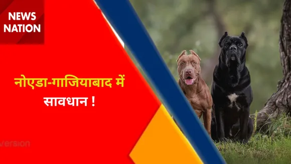 Pitbull Attack in Ghaziabad : नोएडा-गाजियाबाद में सावधान !