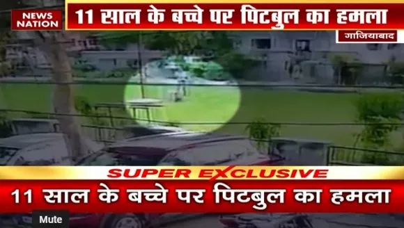 Ghaziabad Pitbull Attack : पिटबुल डॉग ने बच्चे के मुंह पर किया अटैक ?